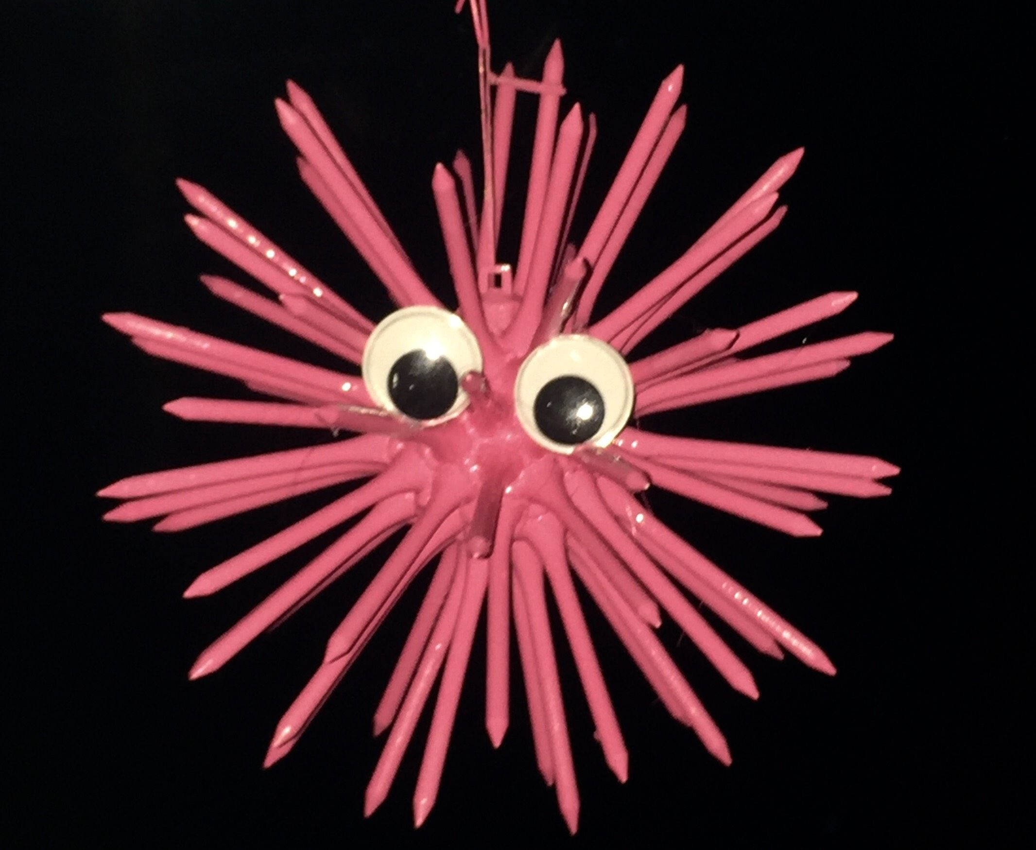 Adorable Sea Urchin