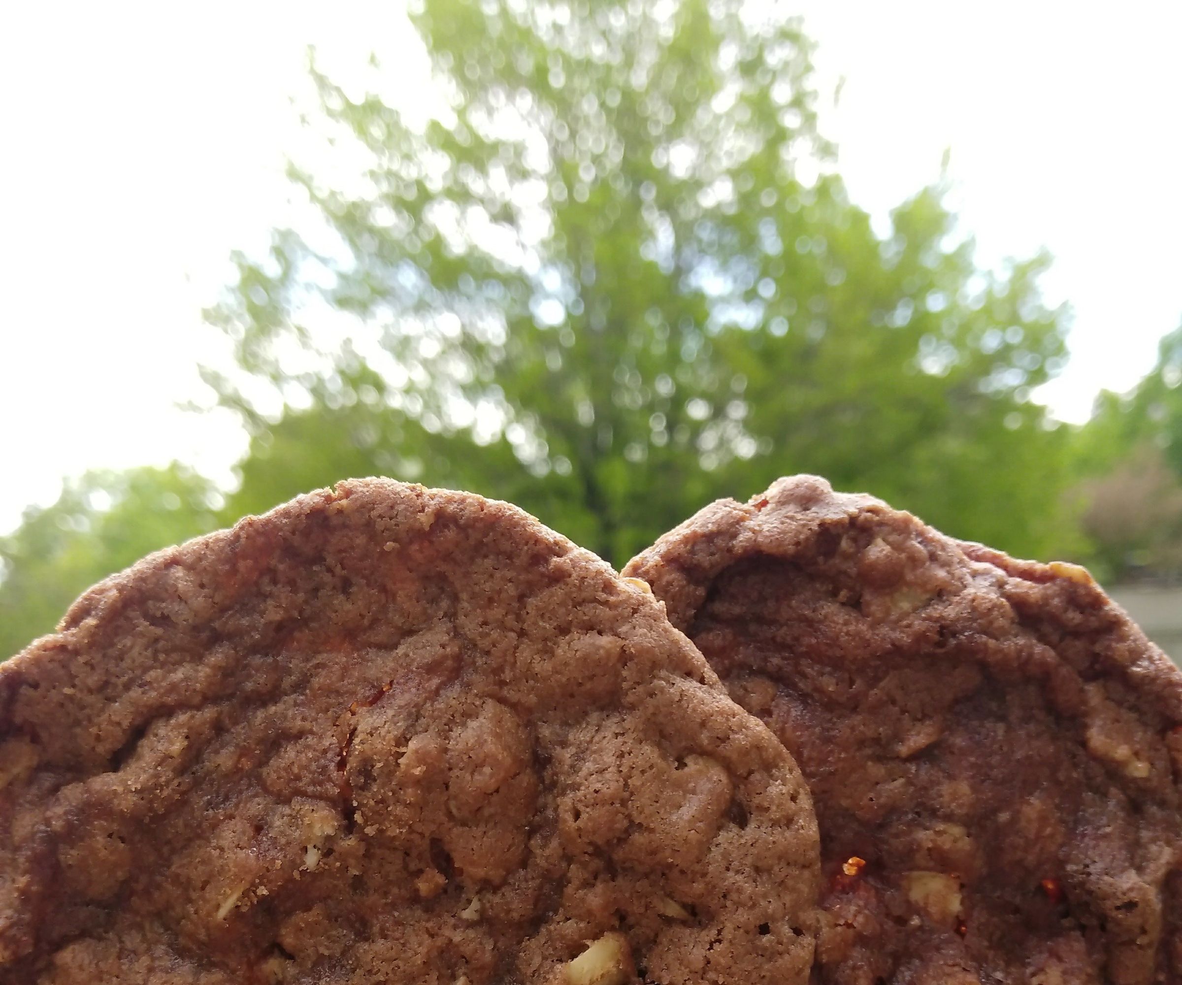 Crispy Chocolate Oatmeal Cookies