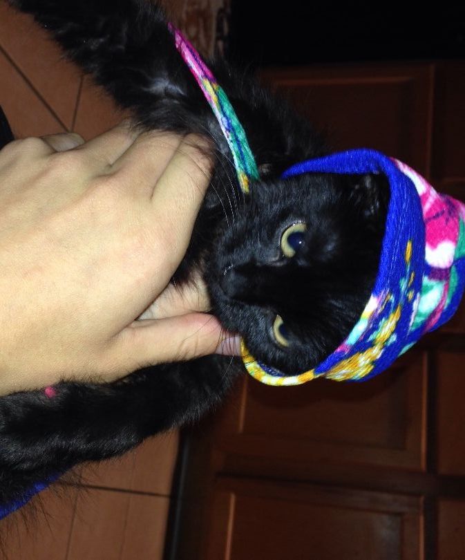Bonnet From Old Dress
