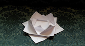 How to Make an Origami Water Lily