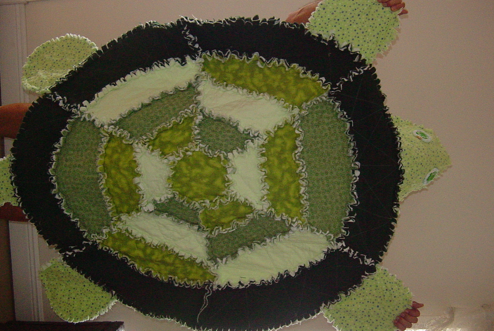 Ry's Green Raggedy Turtle Quilt