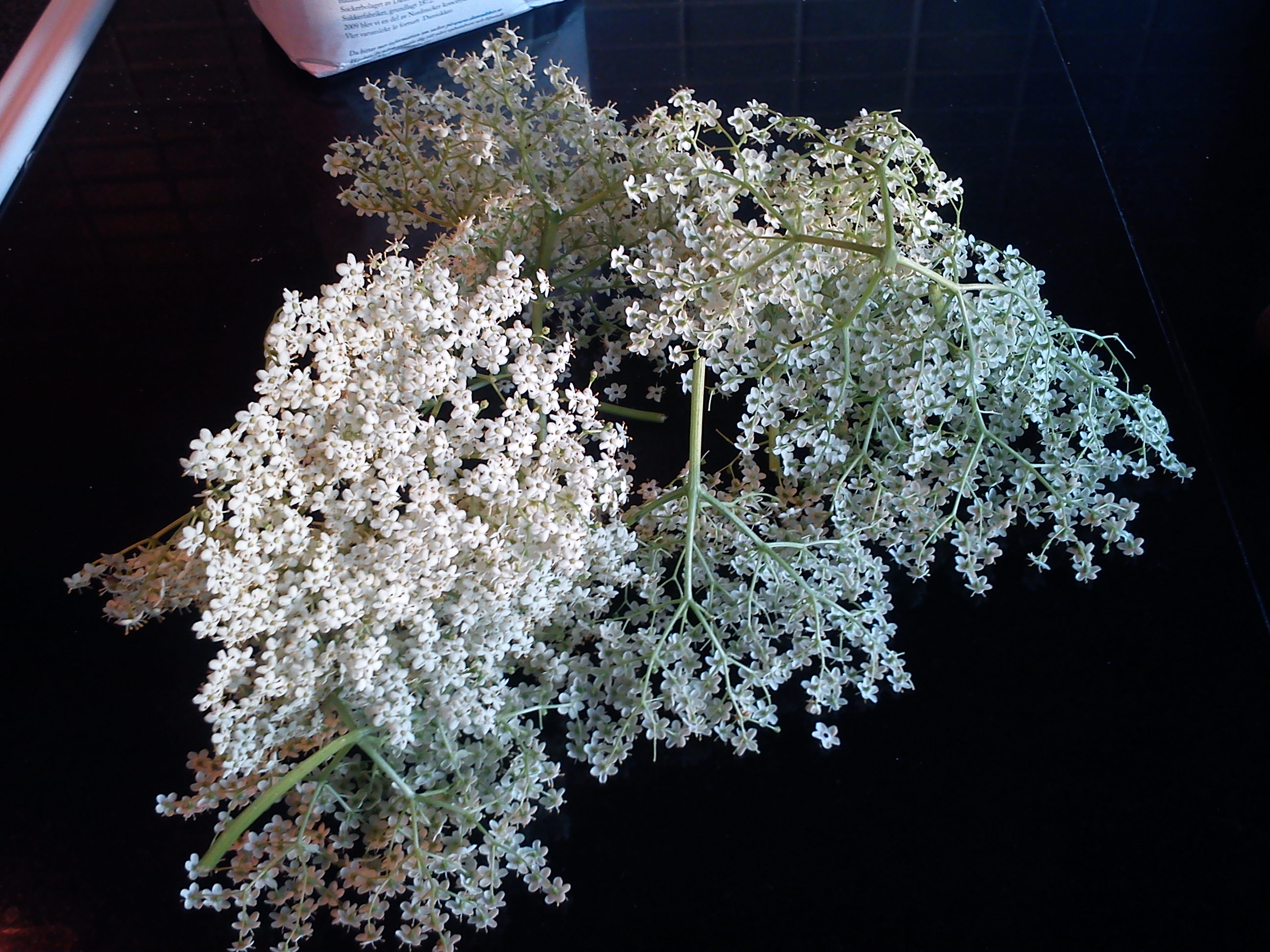 Elderflower Liqueur