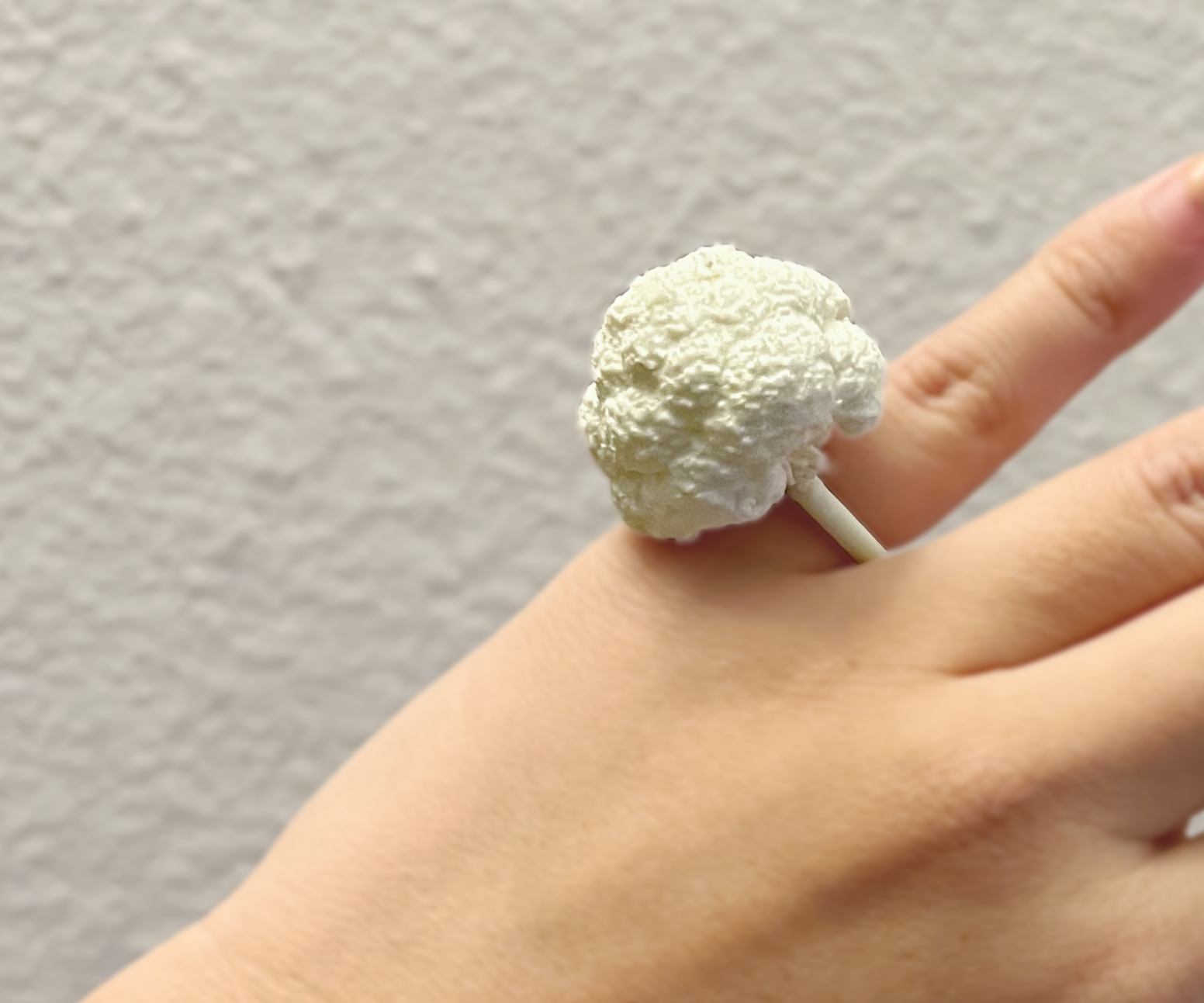 Broccoli Ring Photogrammatry