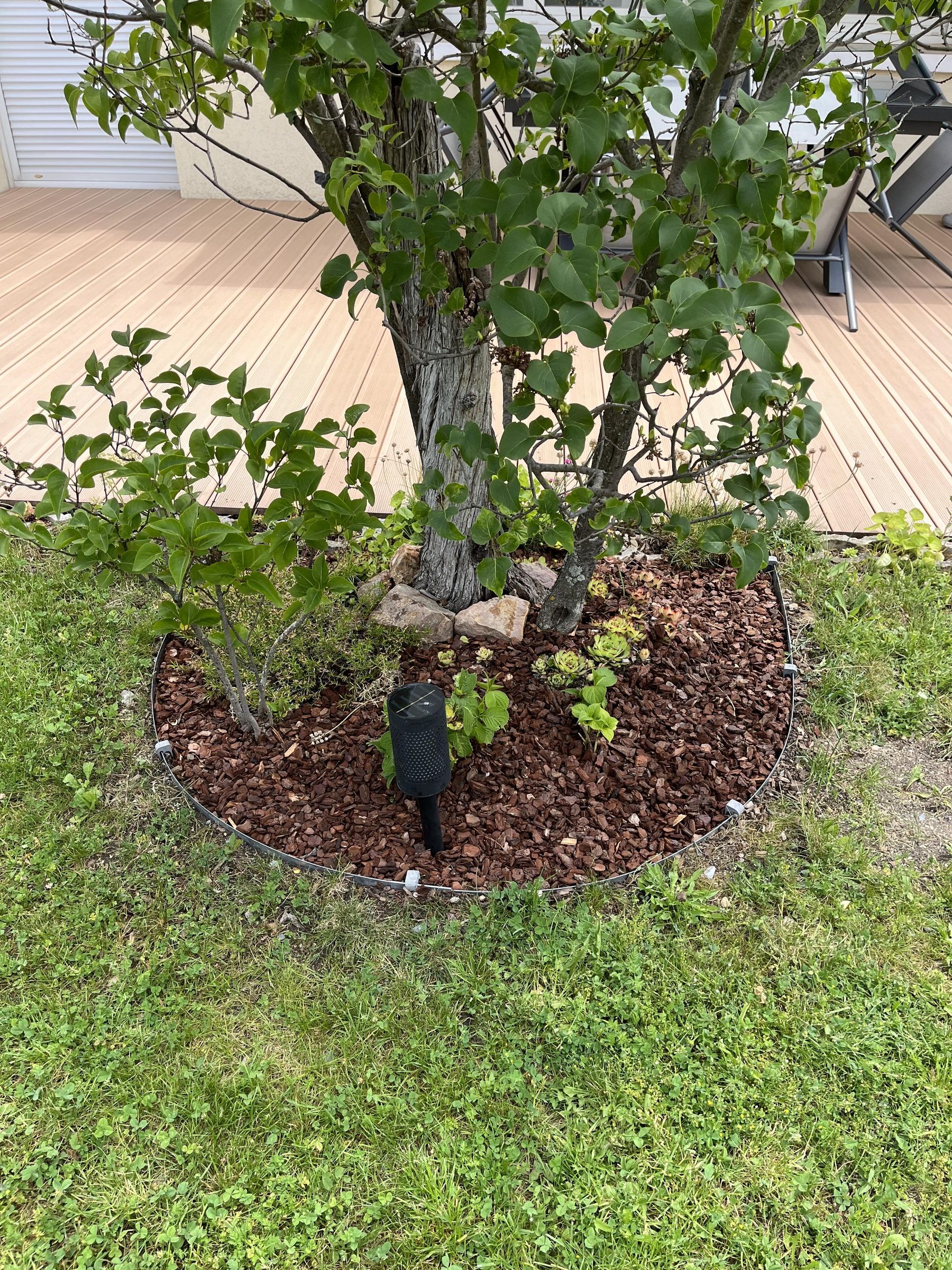 Garden Embellishment and Transformation 11 Steps (with Pictures