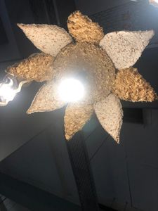 Smart Light Bio-Material