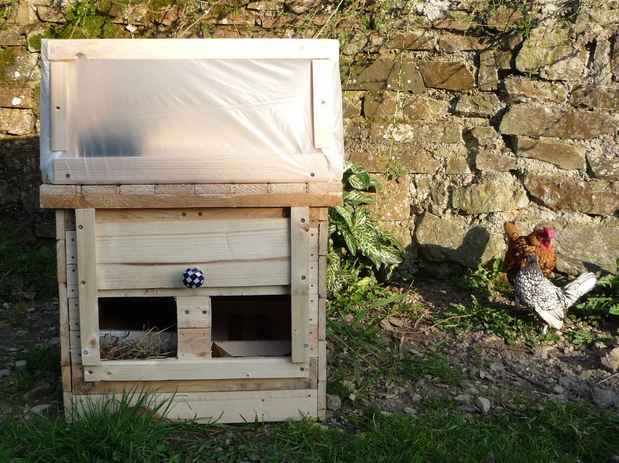Home-made Hen-Heated Seed Propagator - Alternative Henergy. Mini-serre Chauff�e � La Volaille