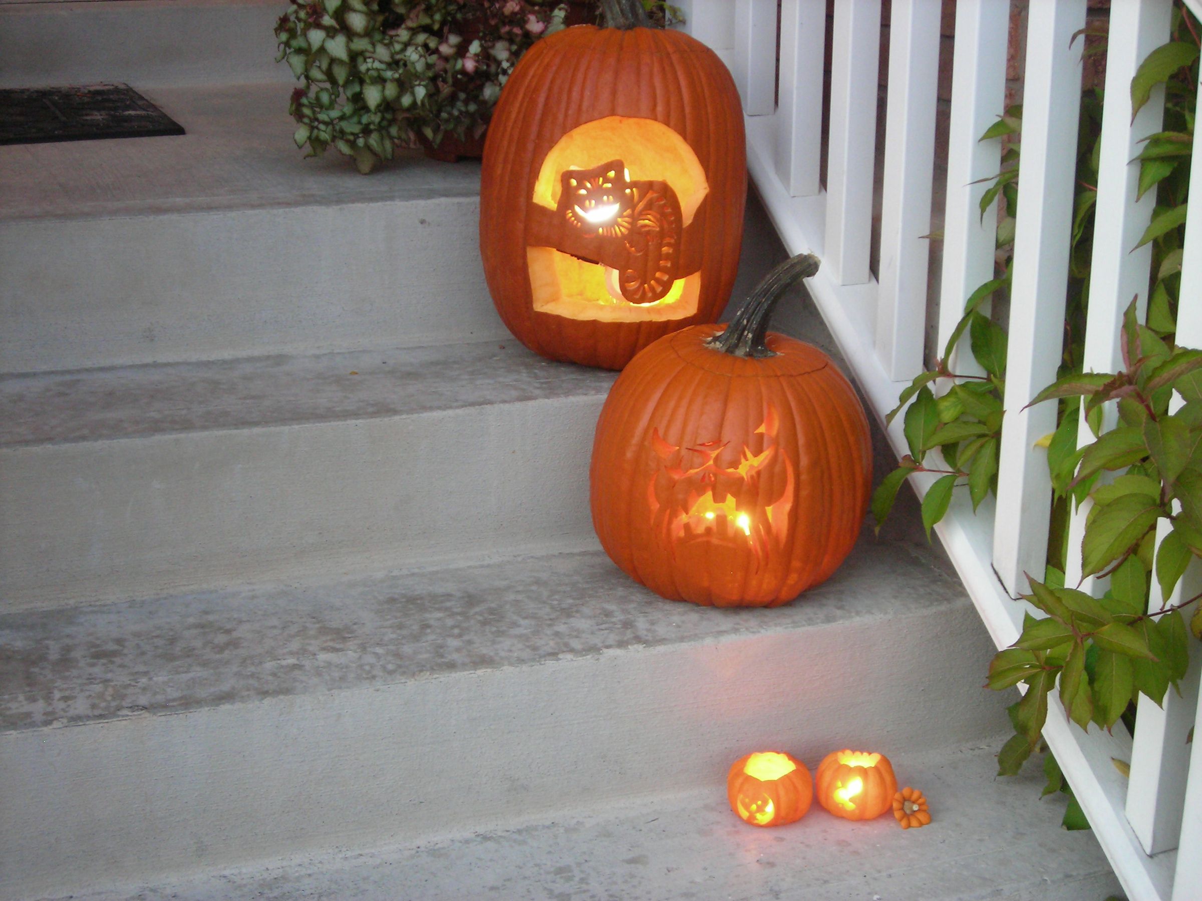 Cheshire Cat Pumpkin animated with LEDs