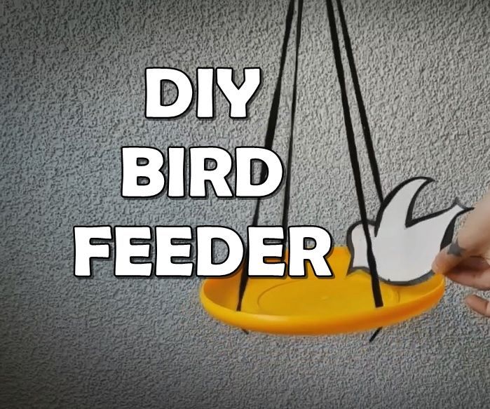 DIY Frisbee Birdfeeder