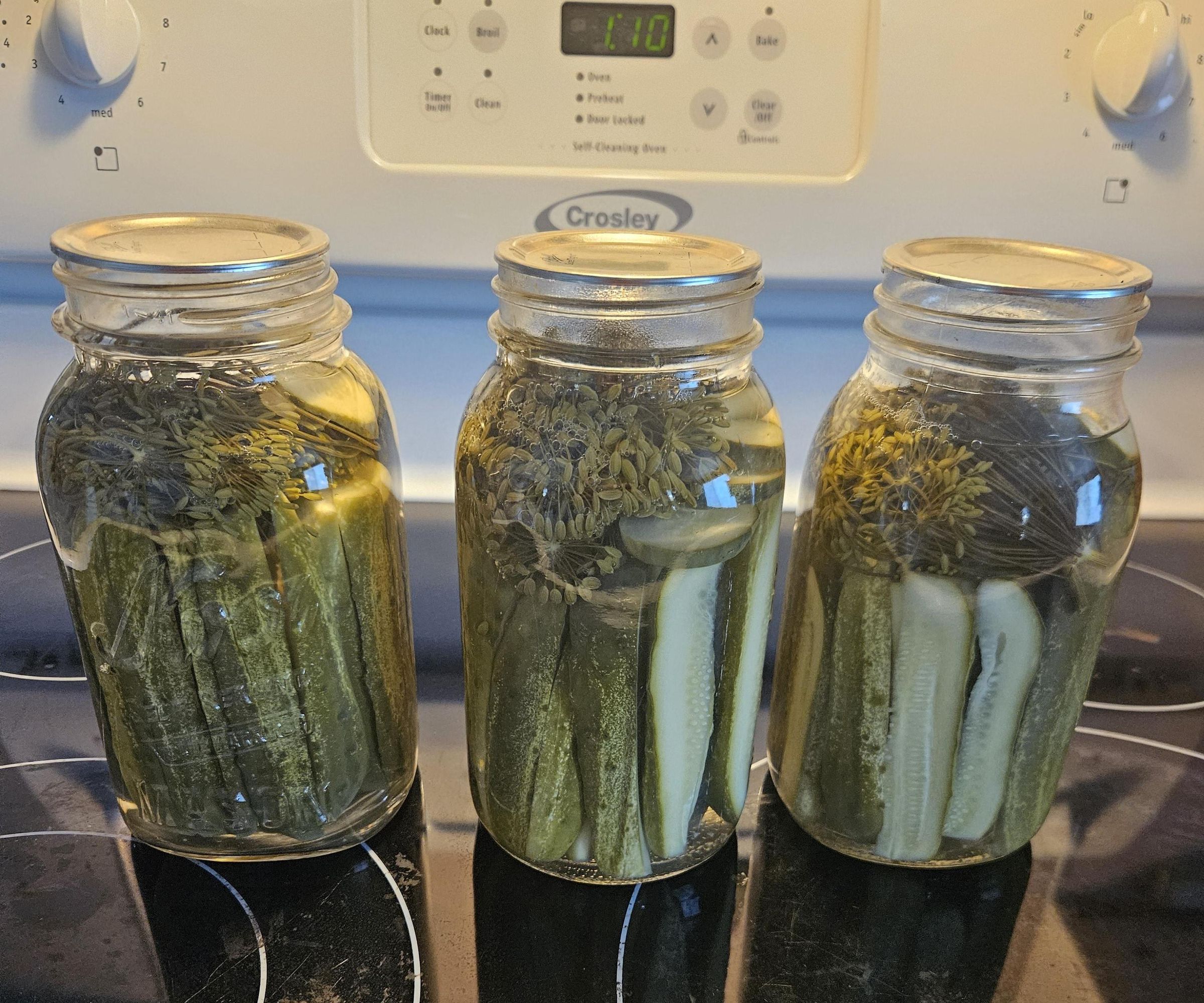 Homemade Dill Pickles