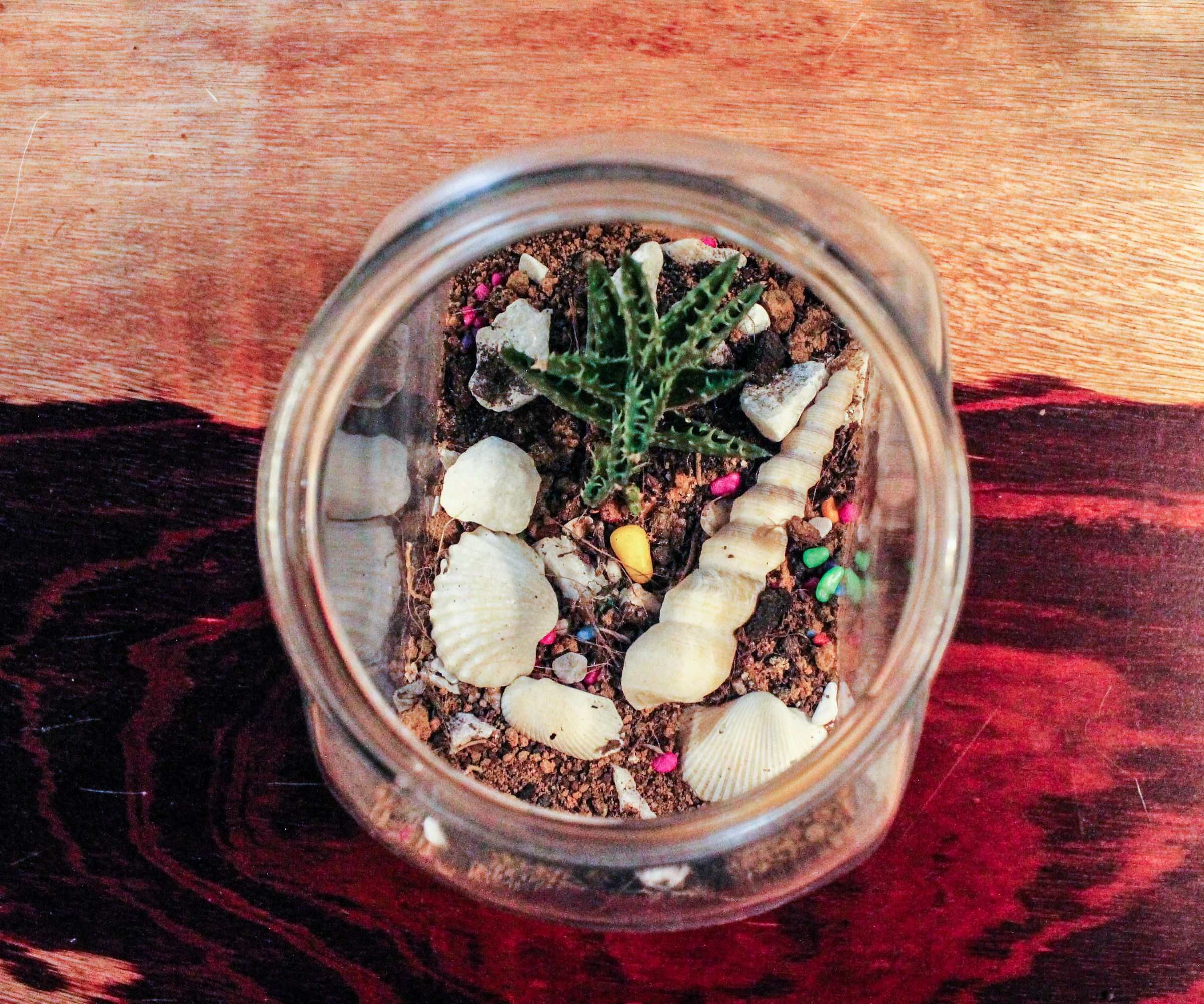 Terrarium