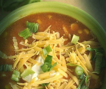 Simple Chicken Enchilada Soup