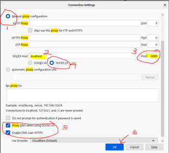 Configure SOCKS in Firefox