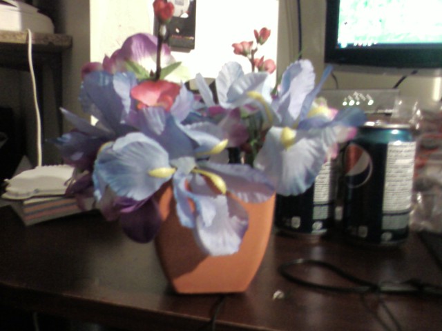 Hidden Flower Speaker