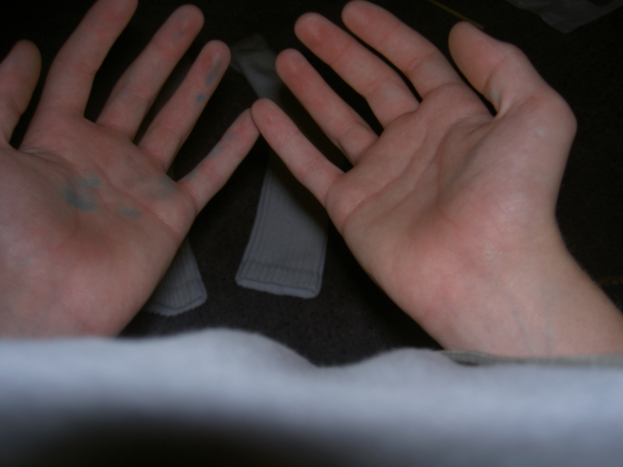 Doggie Pull Toy for Under .000000000000ect...1 Cent