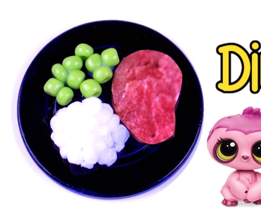 Diy Miniature Dinner