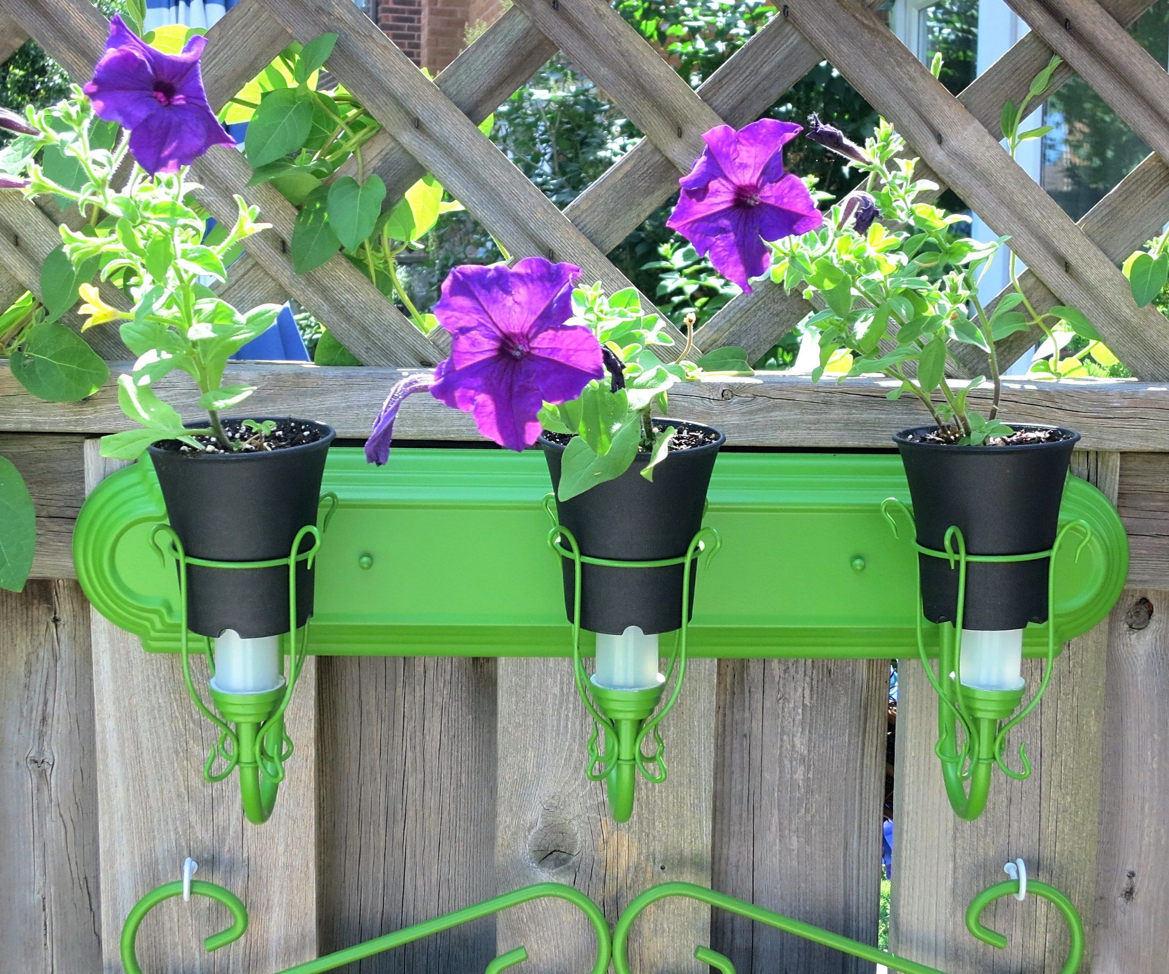 Bathroom Light Fixture Planter
