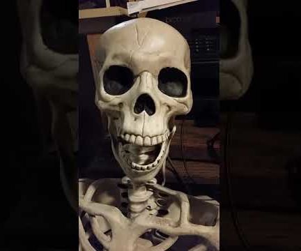 Intelligent Talking Skull -- Vinnie