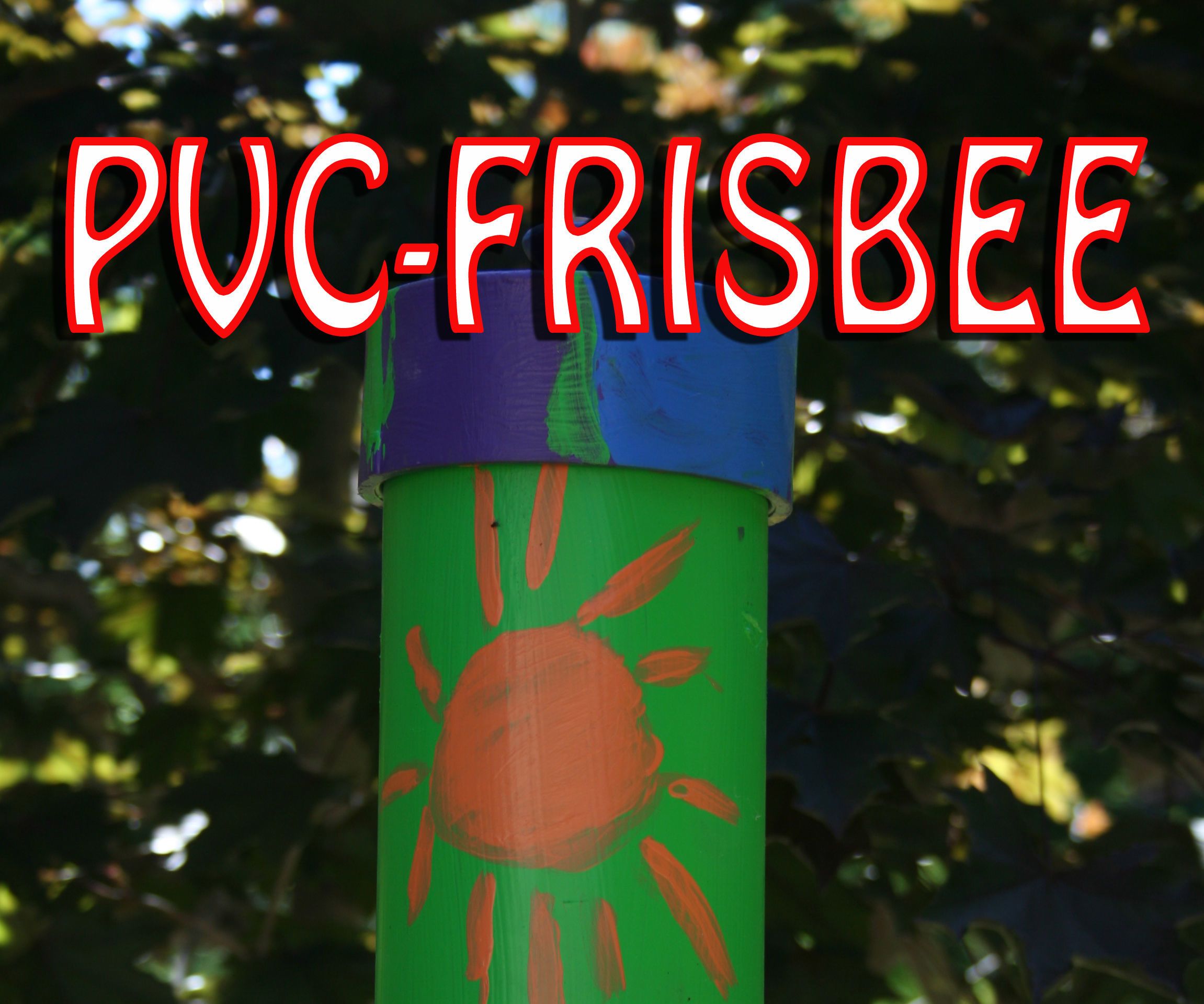 PVC and Frisbee Weather Proof Bird Feeder