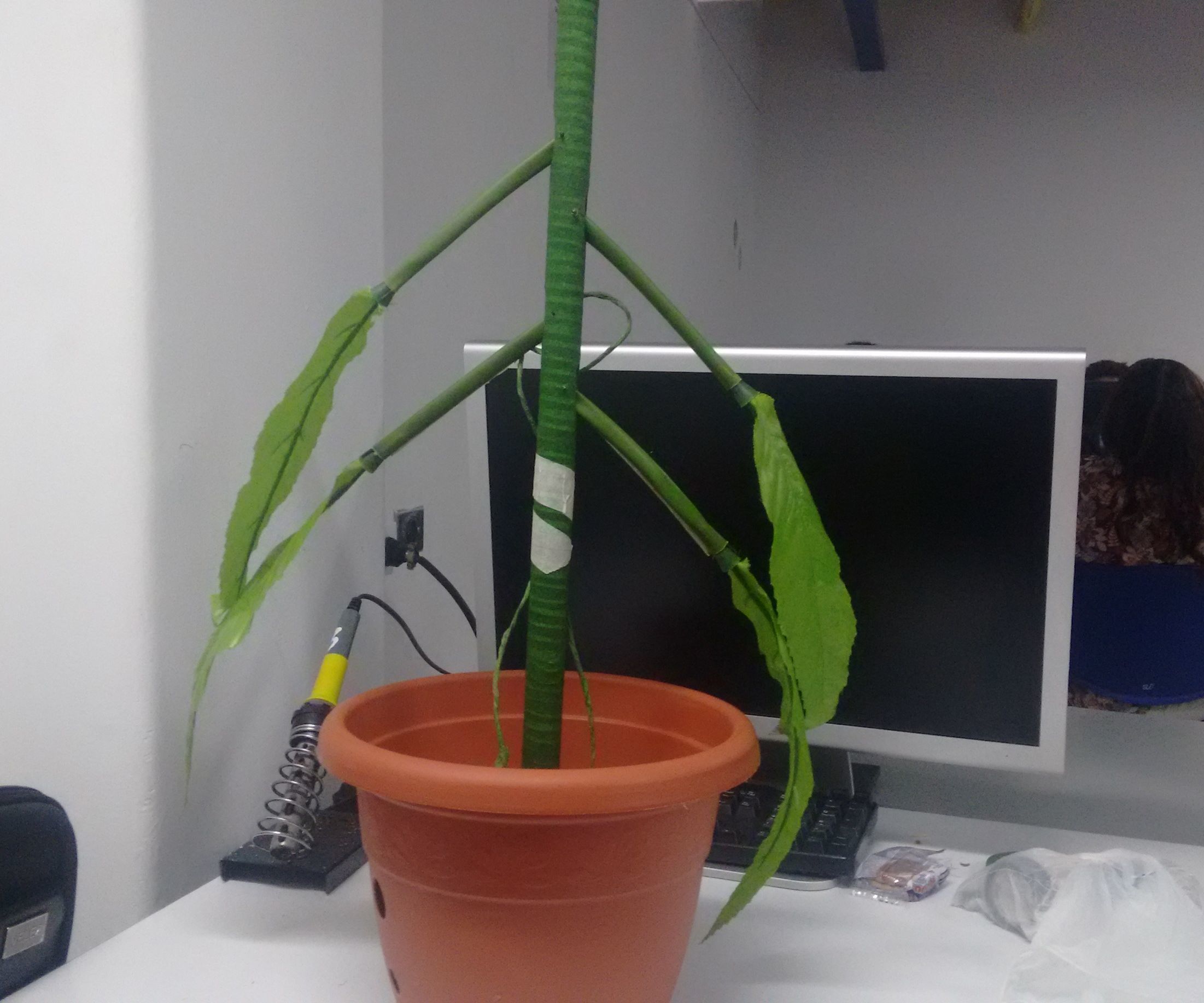 Planta Interactiva