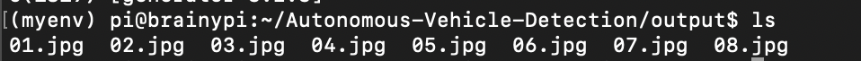 Output Images Saved in Output Folder
