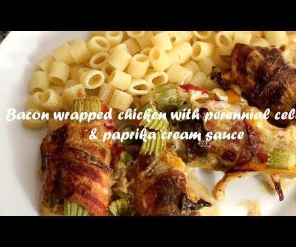  Bacon Wrapped Chicken With Perennial Celery & Paprika Cream Sauce Recipe