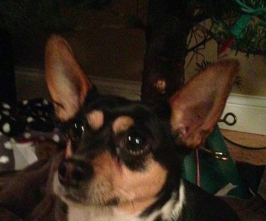 Super-cheap Wireless Doorbell