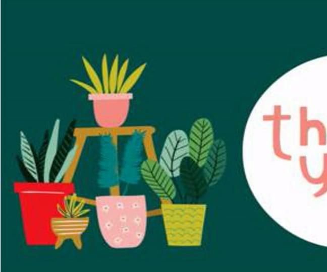 تاثر نمو النبتة في اختلاف طرق النمو 