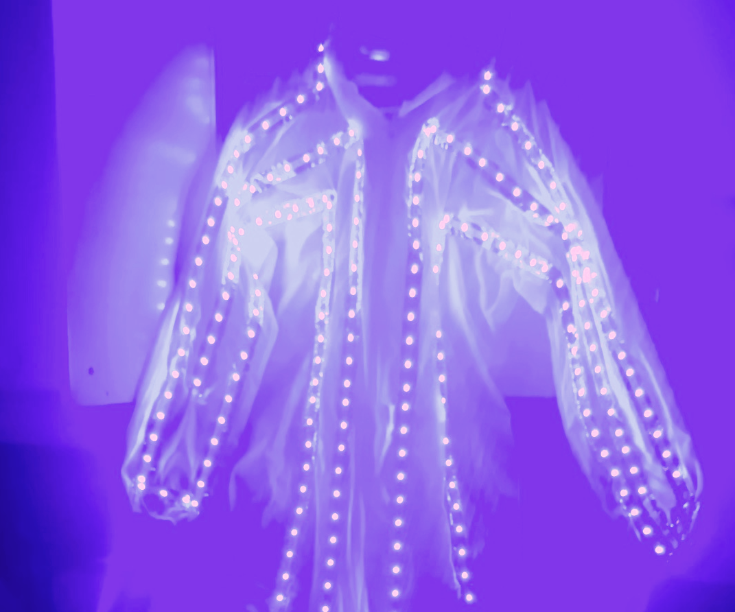 Prototype for KILL BILL VIRUS-PROOF SUIT  • Germicidal Armor