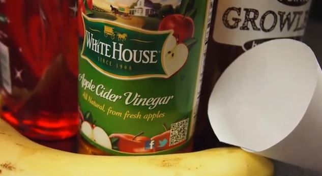 Getting Rid of Fruit Flies Naturally
