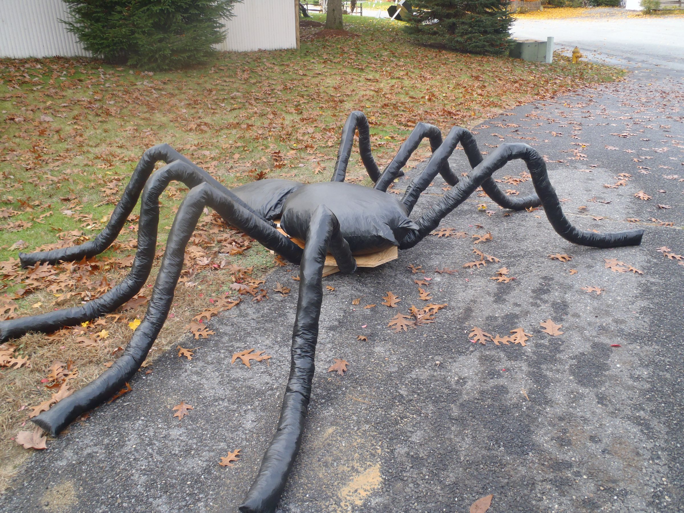 A 7' spider for Halloween...