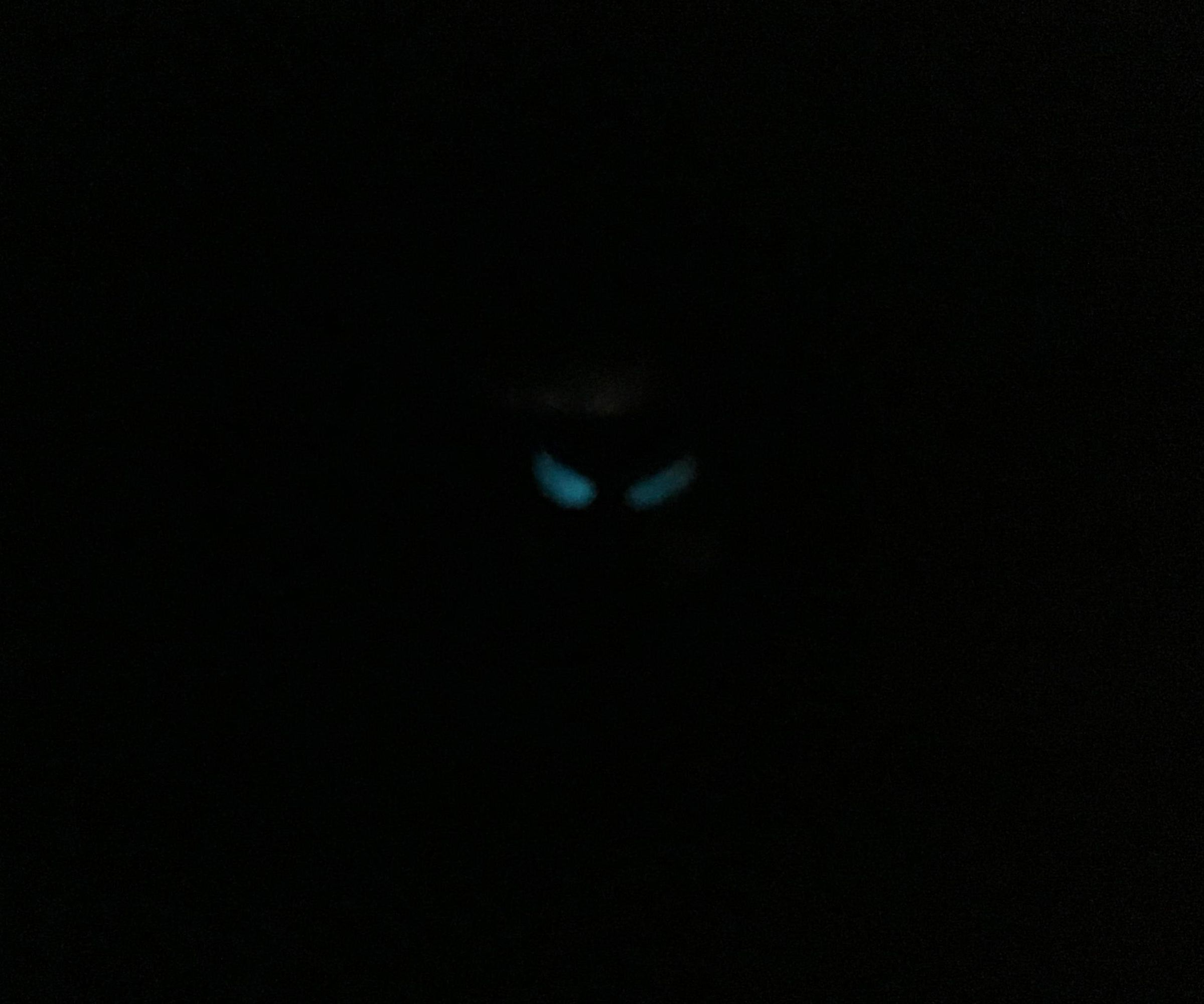 DIY Scary Eyes to Scare People