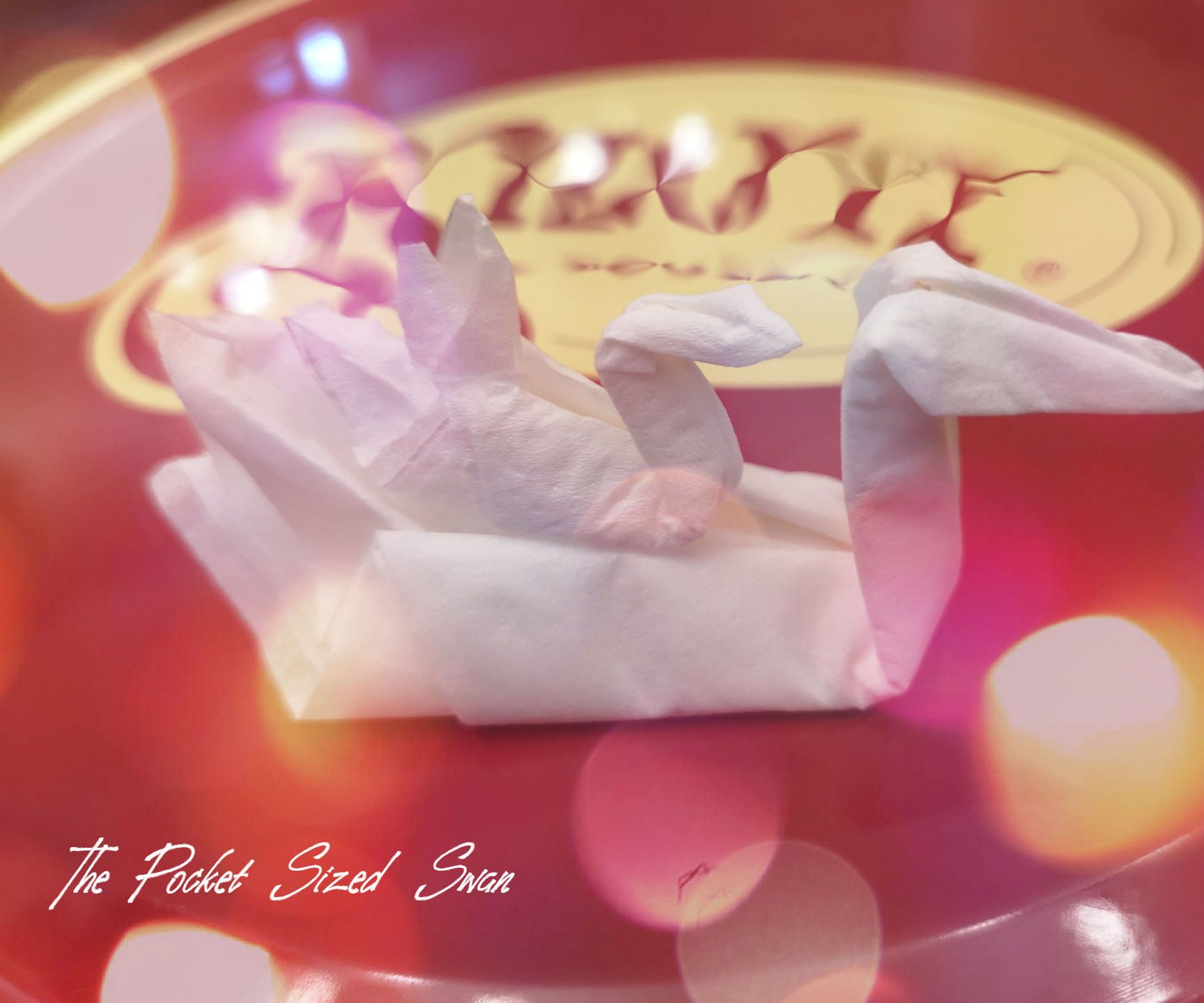 The Pocket Sized Swan