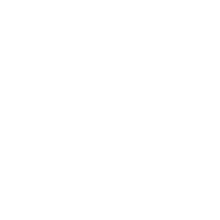 download {{ file.name }}