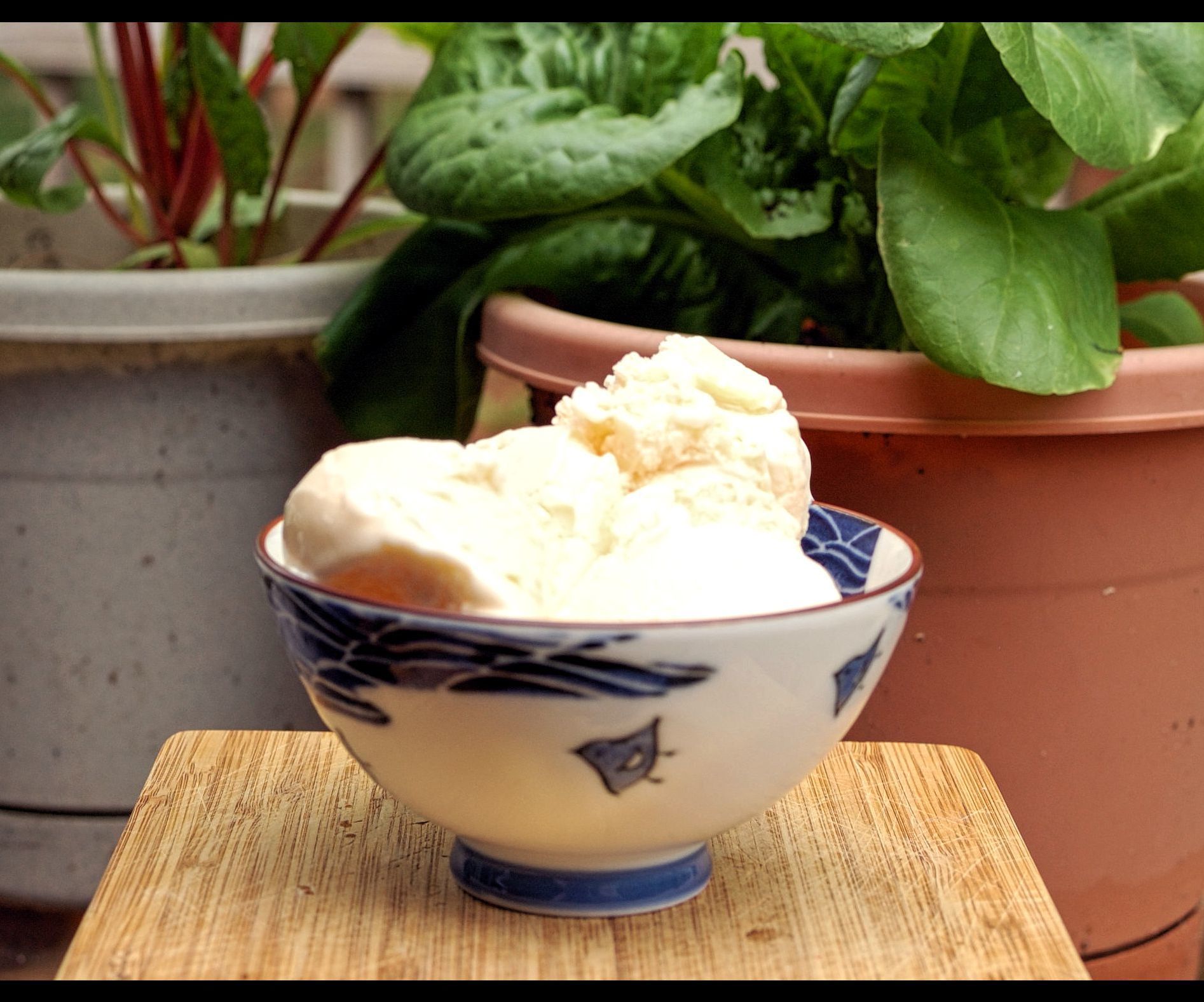 Brown Butter Ice Cream - New England Style