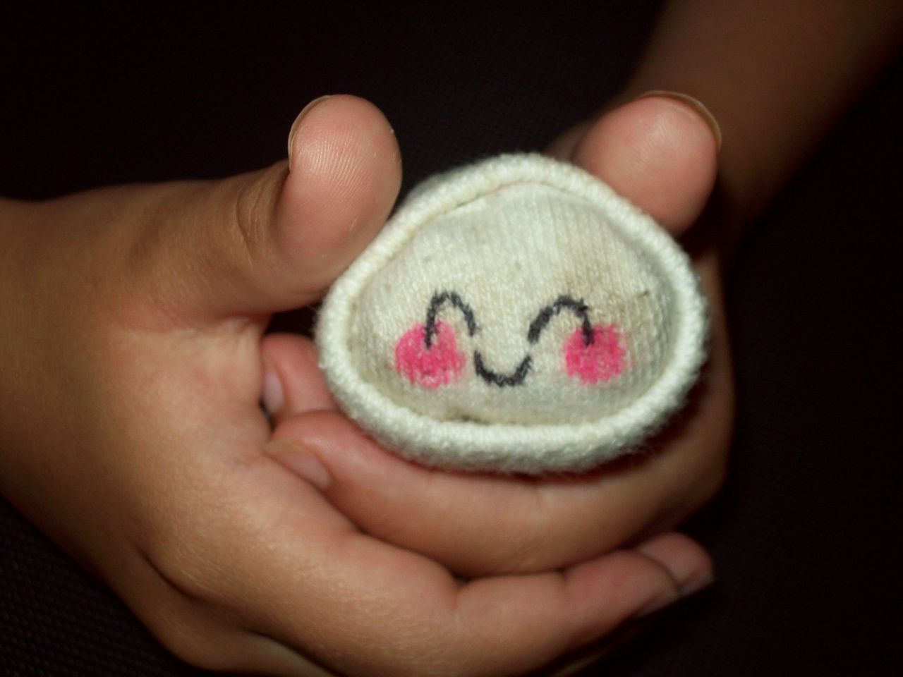Recycled Hand Warmer