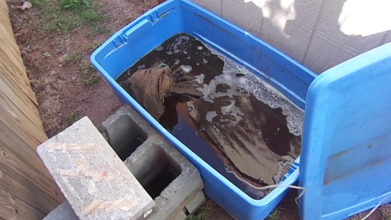 How to Make Compost Tea for CHEAP!