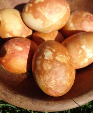 Dutch Dyed Easter Eggs With Flowers & Onion Skins