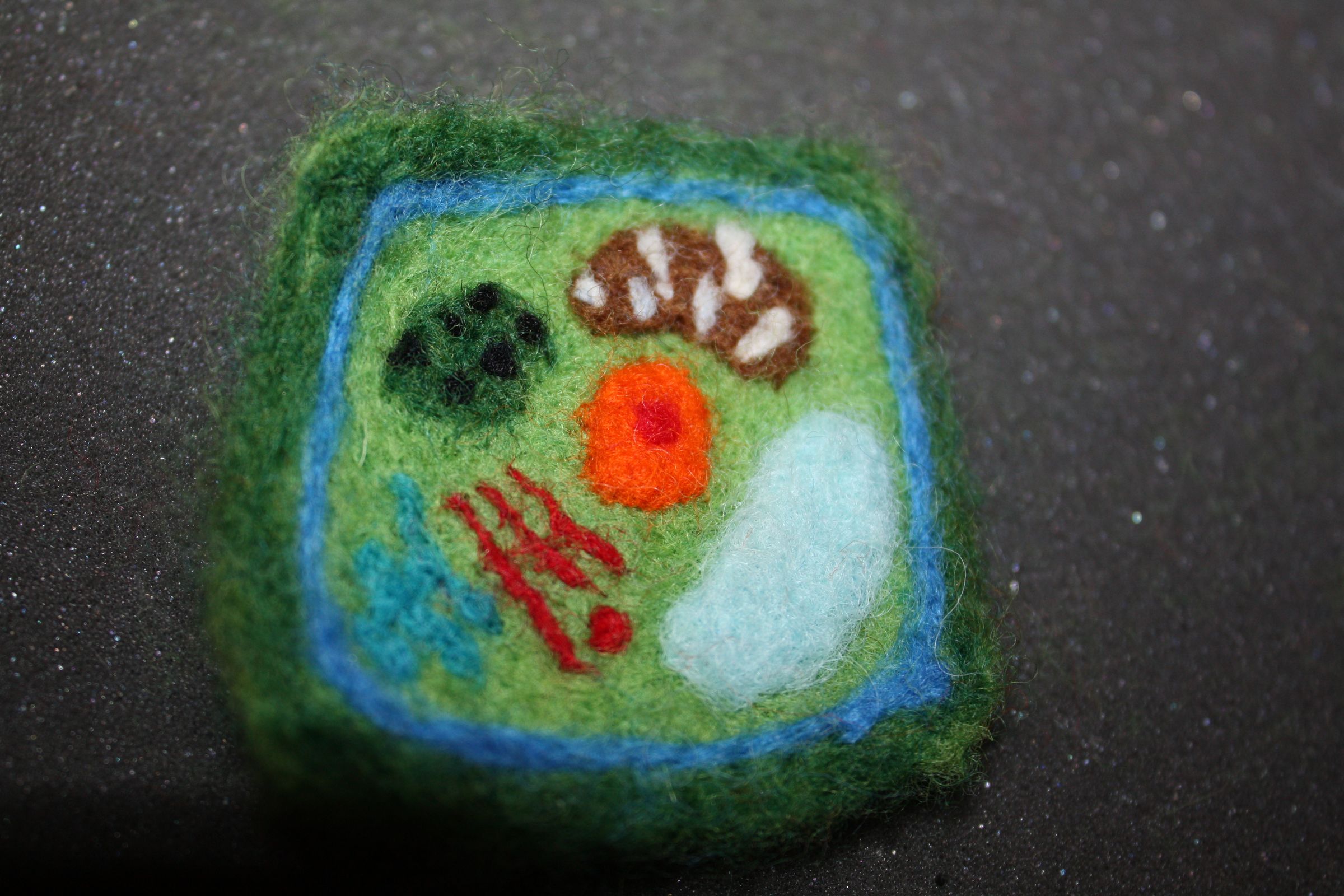 Needle Felted Plant Cell 11 Steps (with Pictures) Instructables