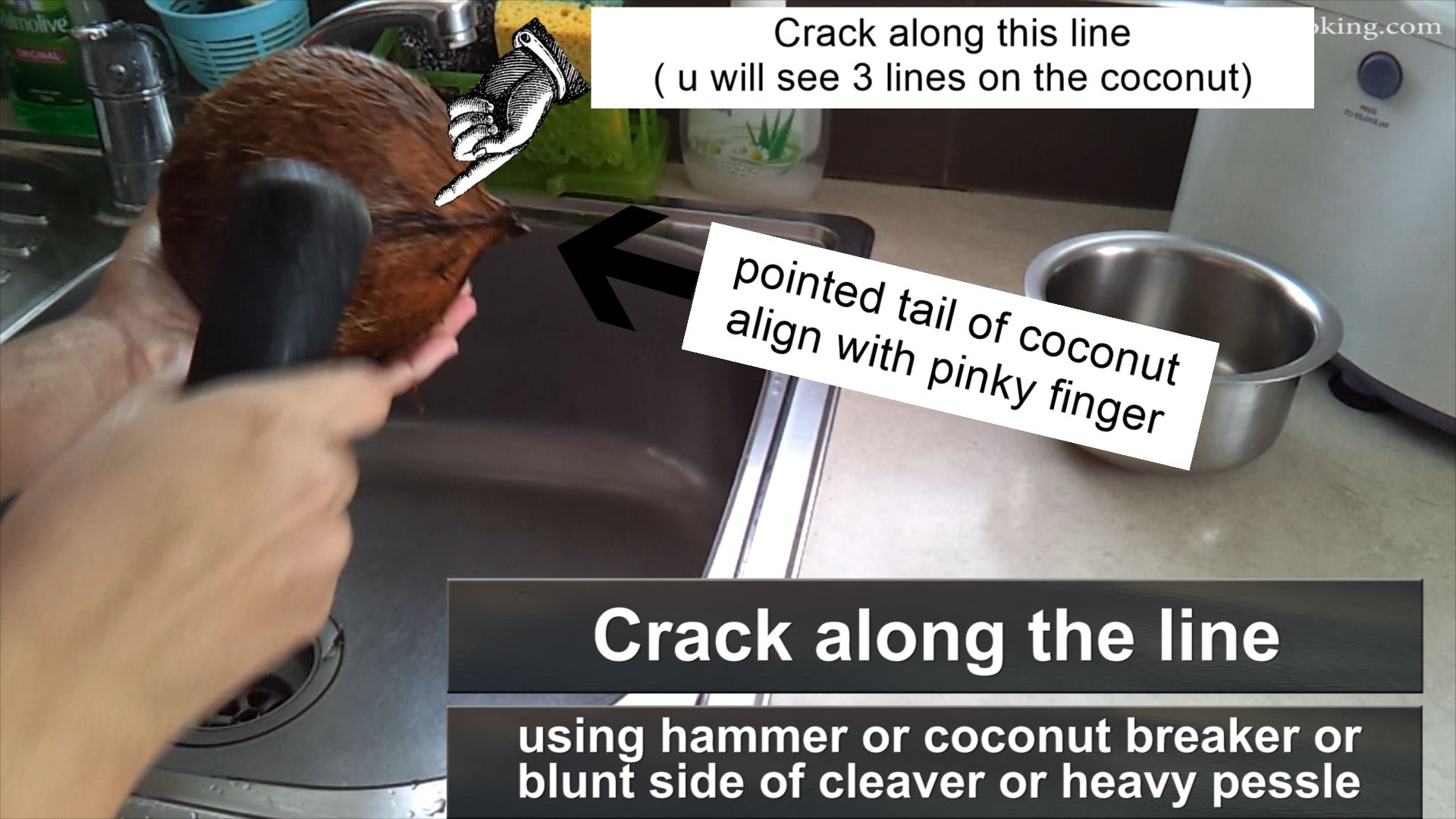 COCONUT BASICS - How to ( BREAK / REMOVE COCONUT MEAT / GRATE / FREEZE