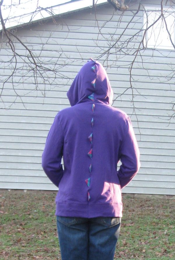 Dinosaur Hoodie (Sweatshirt)