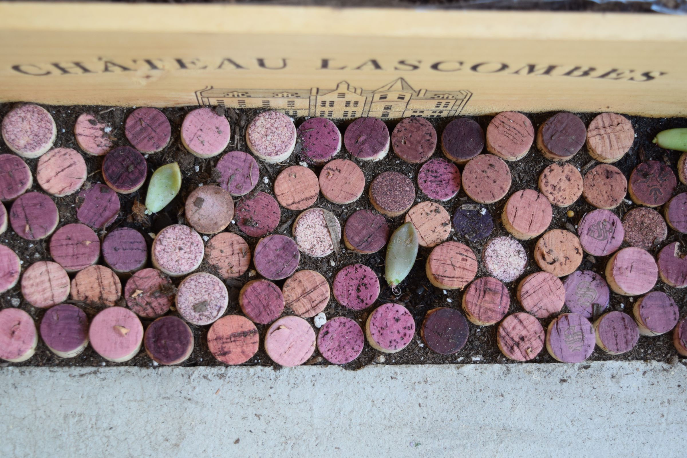 Wine Cork Garden Edging 3 Steps Instructables