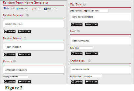 Selecting a Team Name