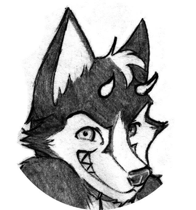 Instructables profile picture for @snout