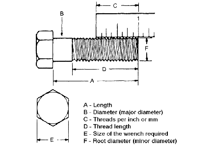 Draw Your Base Shape