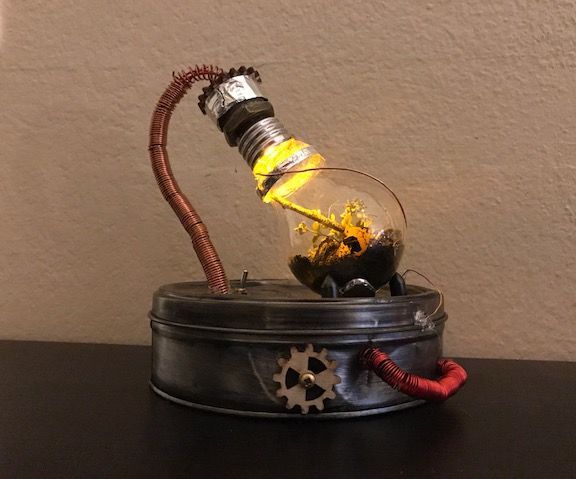  Small Lightbulb Terrarium 