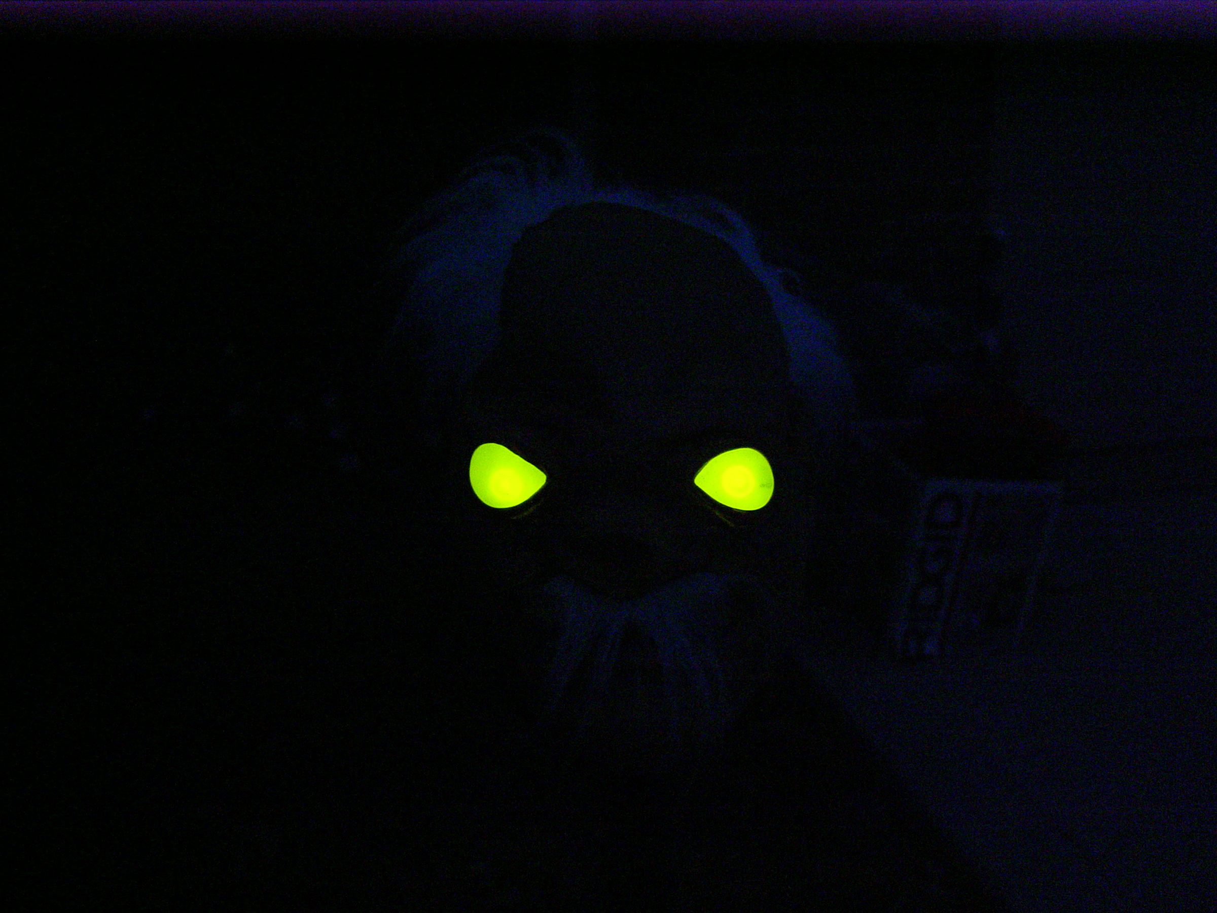 TIDE BOTTLE TOTEM HEAD