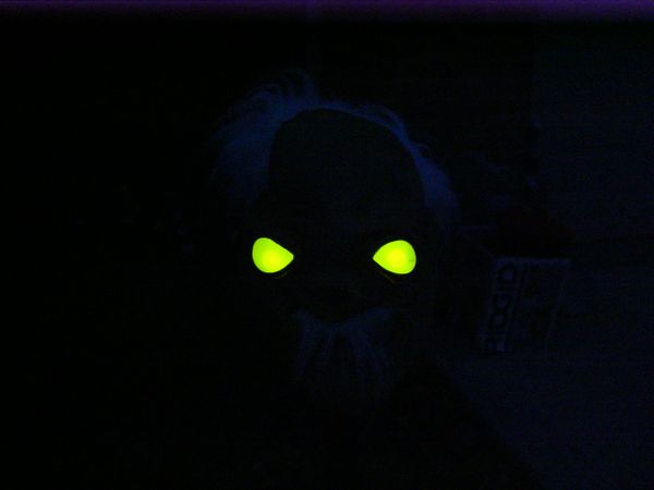 TIDE BOTTLE TOTEM HEAD