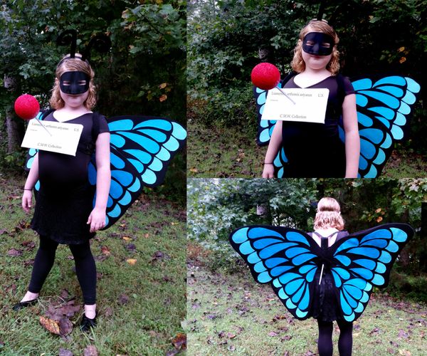 Bug Collection Butterfly Costume