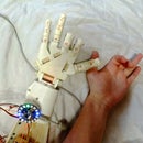 Robotic Hand Control With EMG