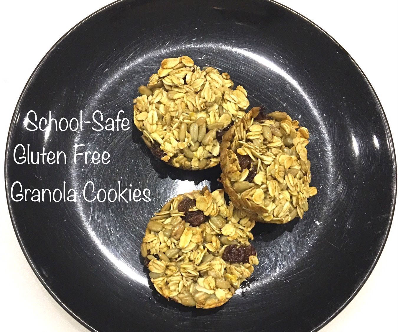 School Safe Granola Bar Alternatives